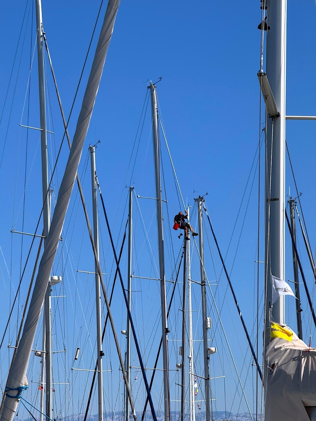 Introducing the Olive Island Marina&nbsp;Team